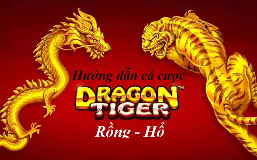 Mẹo chơi cá cược rồng hổ hay