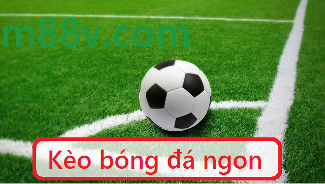 Những kèo bóng đá ngon dành cho cược thủ mới vô nghề