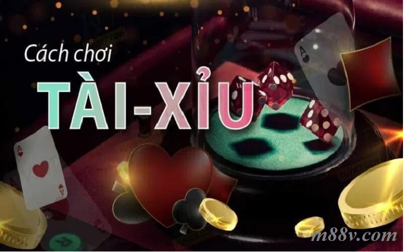 Hướng dẫn cách chơi tài xỉu