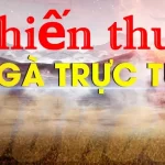 Đá gà trực tuyến cùng M88 - Hướng dẫn tham gia và đặt cược